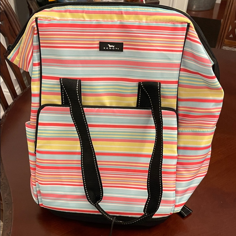 Scout Ripe Stripe Backpack Cooler